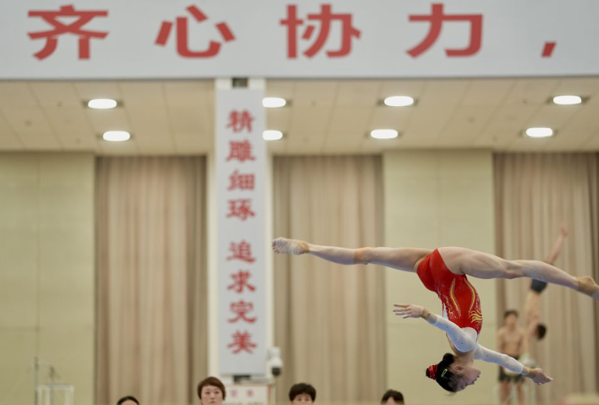 麻将胡牌技巧揭秘与分析